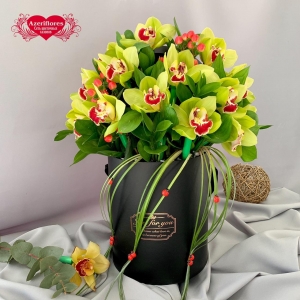 Купить королевскую орхидею в коробке в Комсомольске-на-Амуре