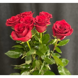 Купить красную розу с доставкой в Комсомольске-на-Амуре