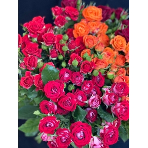 Купить кустовую розу поштучно с доставкой в Комсомольске-на-Амуре