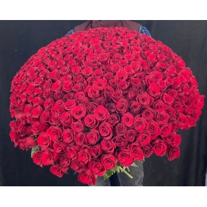 Купить охапку из 351 роз с доставкой в Комсомольске-на-Амуре