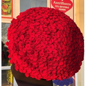Купить охапку из 501 красной розы с доставкой в Комсомольске-на-Амуре