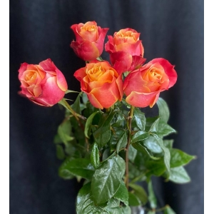 Купить розу 3D с доставкой в Комсомольске-на-Амуре