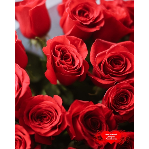 Купить букет из 25 красных роз в Комсомольске-на-Амуре