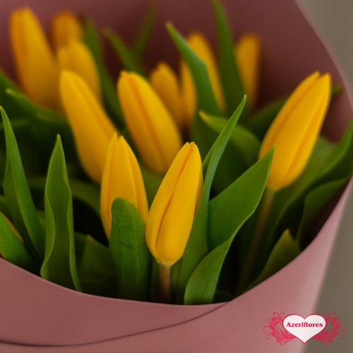 Купить букет из 15 желтых тюльпанов в Комсомольске-на-Амуре
