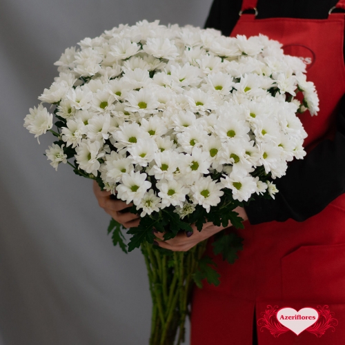Купить хризантему ромашки белую с доставкой в Комсомольске-на-Амуре