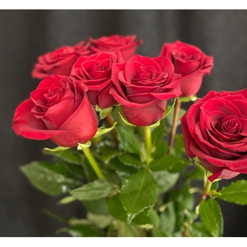 Купить красную розу с доставкой в Комсомольске-на-Амуре