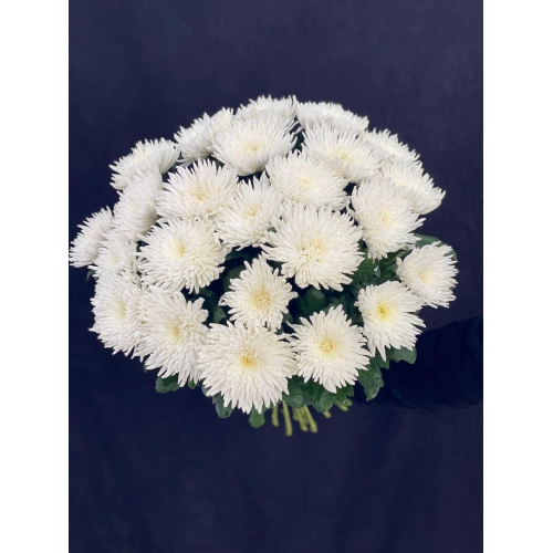 Купить одиночную хризантему с доставкой в Комсомольске-на-Амуре