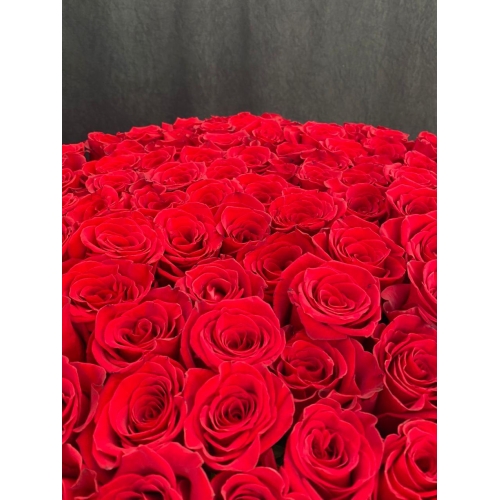 Купить розу Эксплорер метровая с доставкой в Комсомольске-на-Амуре