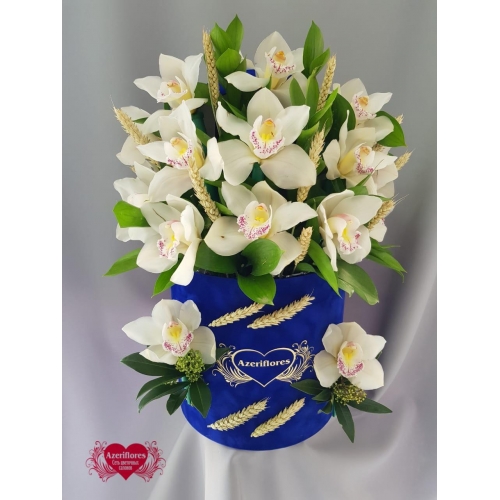Купить коробку с королевской орхидеей в Комсомольске-на-Амуре