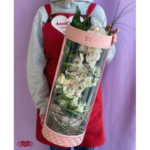 Купить орхидею в коробке с доставкой в Комсомольске-на-Амуре