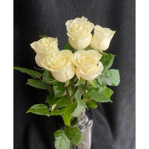 Купить белую розу с доставкой в Комсомольске-на-Амуре