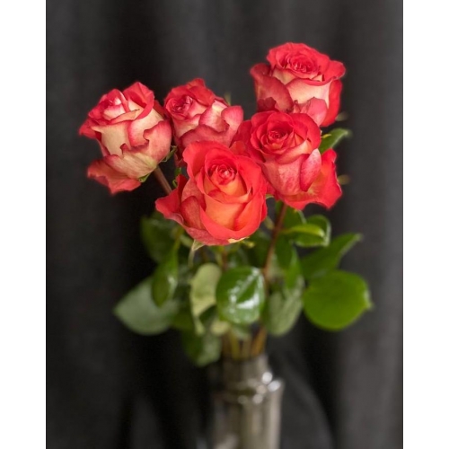 Купить розу «Игуазу» с доставкой в Комсомольске-на-Амуре