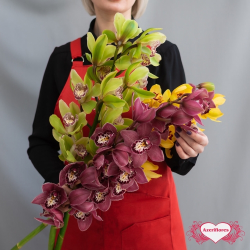 Купить ветку орхидеи поштучно в Комсомольске-на-Амуре
