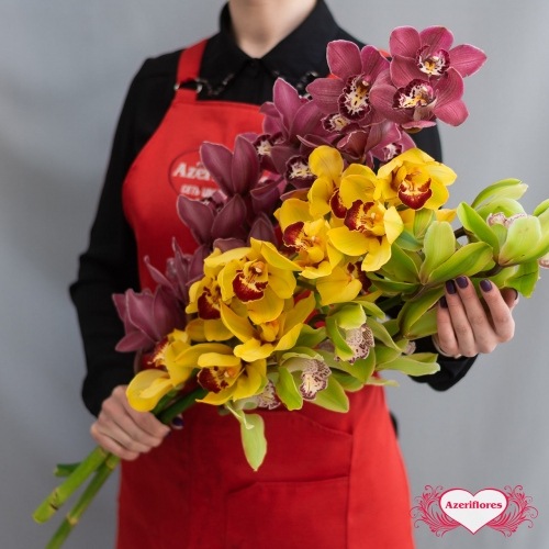Купить ветку орхидеи поштучно в Комсомольске-на-Амуре